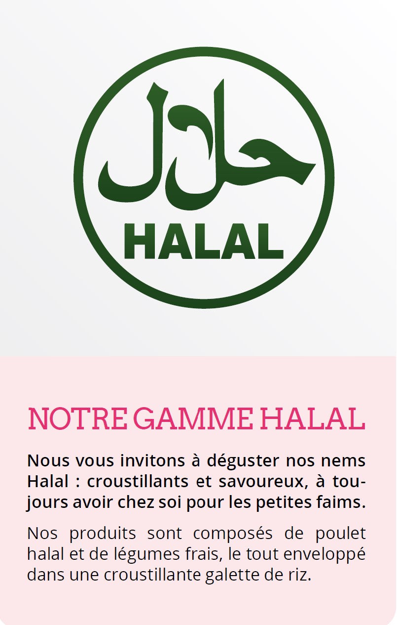 50 Nems HALAL surgelés au poulet 1,9kg So Asia